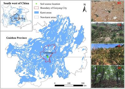 Characteristics and factors influencing soil organic carbon composition by vegetation type in spoil heaps